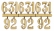 article image 2