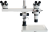 article image 2