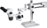article image 2
