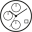 article image 3