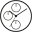 article image 3
