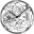 article image 2