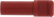 article image 3