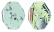 article image 2