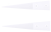 article image 2