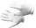 article image 2