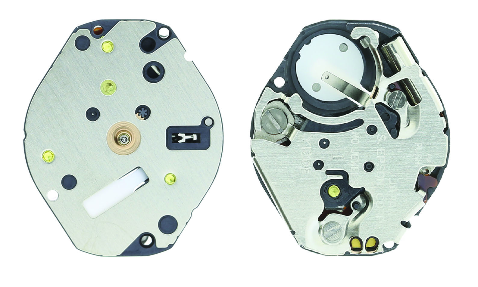 article image 2