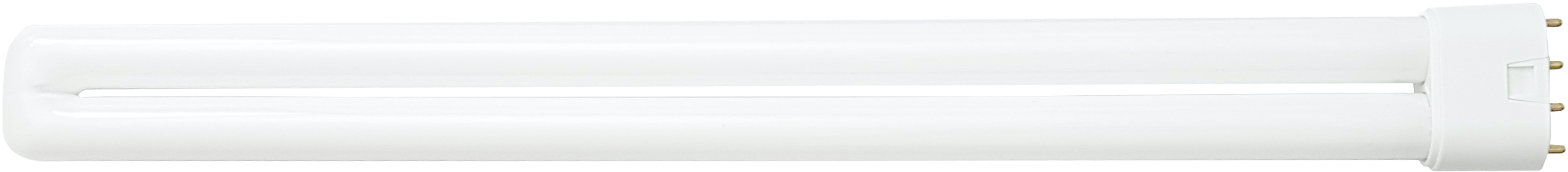 article image 2
