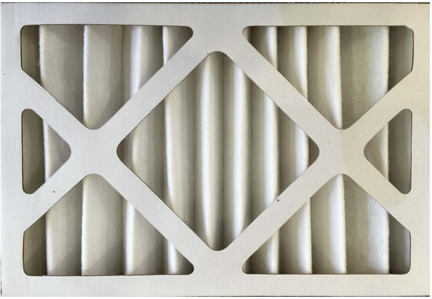 article image 2