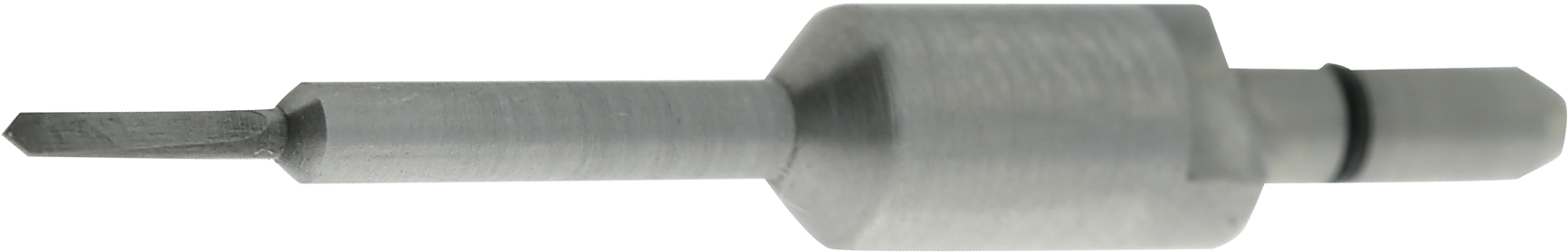 article image 2
