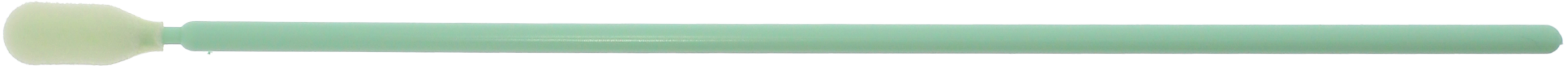 article image 2