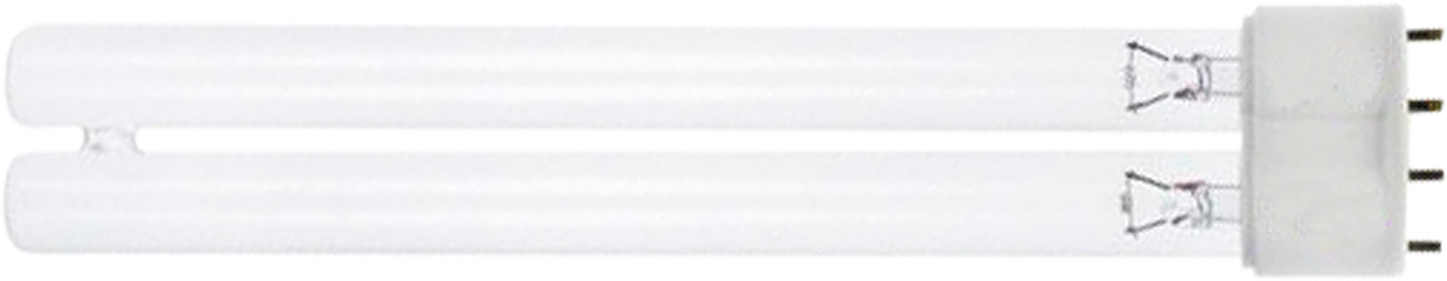 article image 2