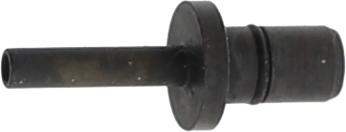 article image 2