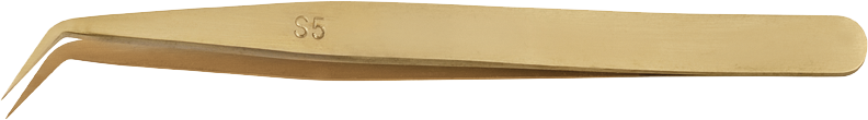 article image 2
