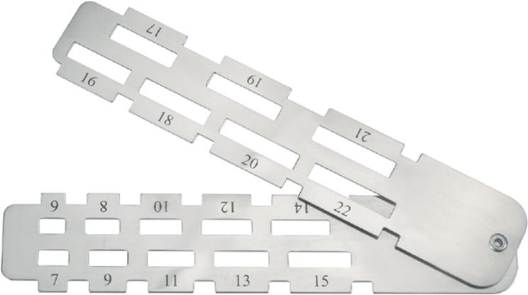 article image 2