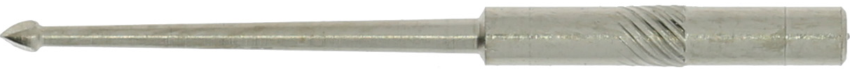 article image 2