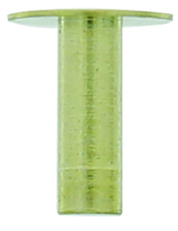 article image 2