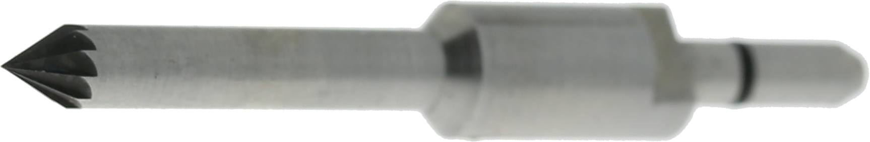 article image 2
