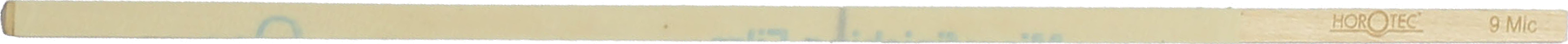 article image 2