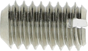 article image 2