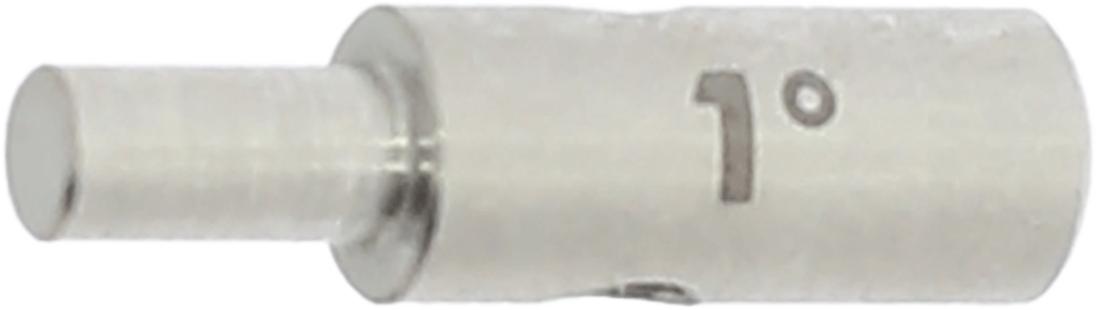 article image 2