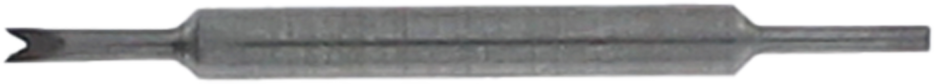 article image 2
