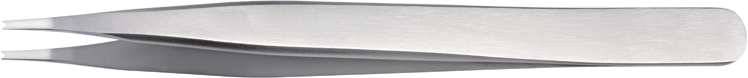 article image 2