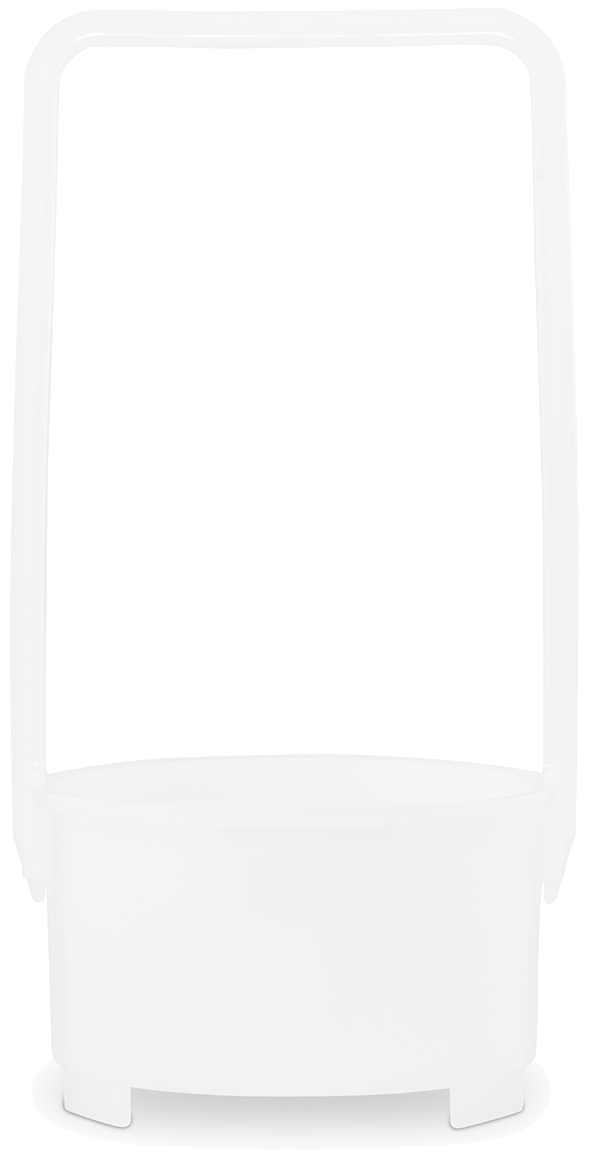 article image 2