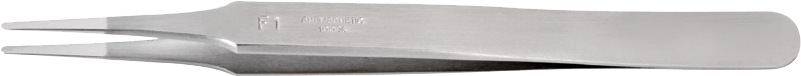 article image 2