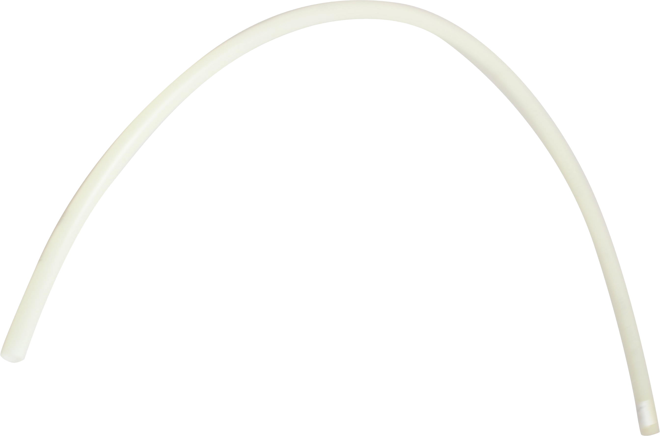 article image 3
