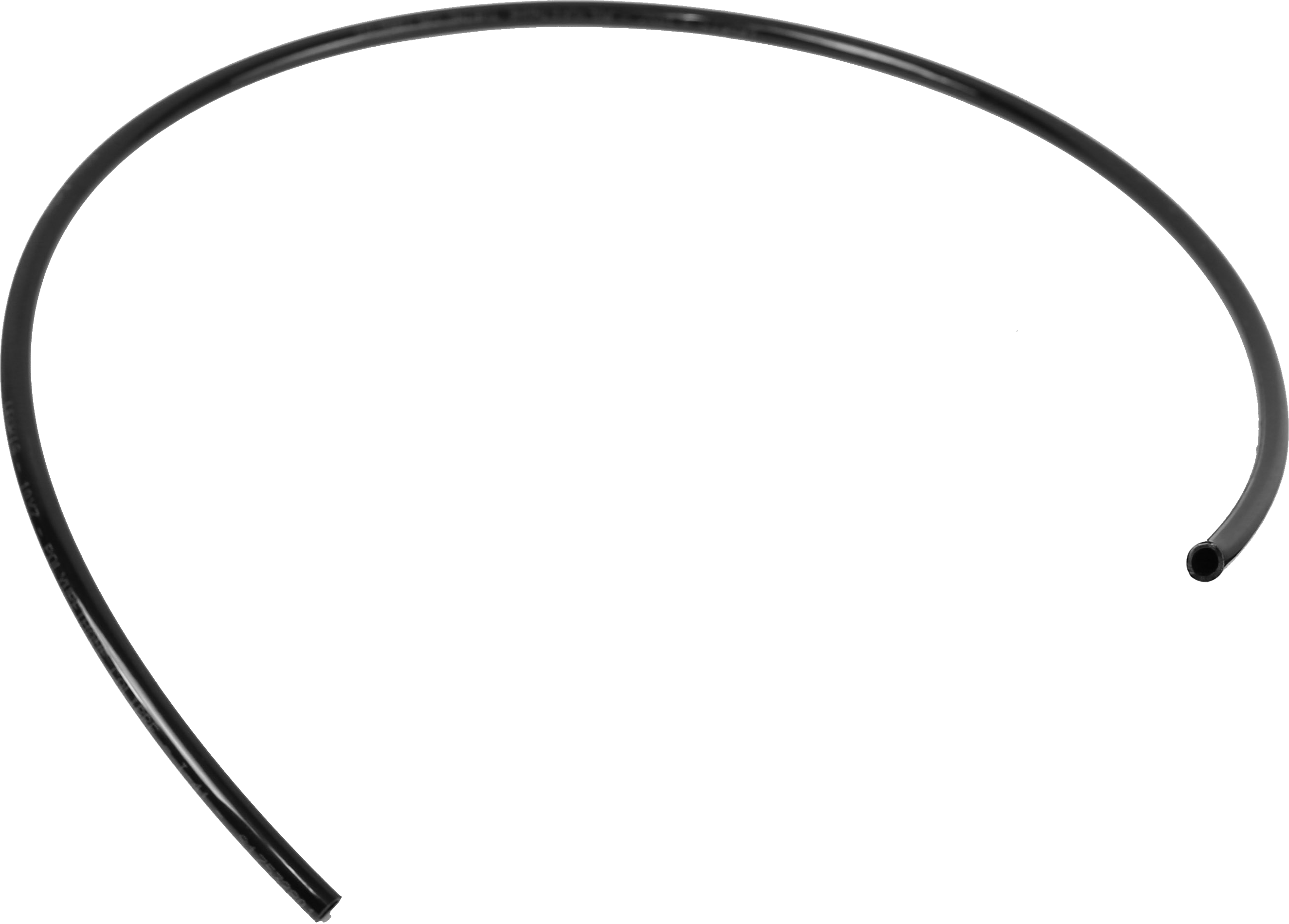 article image 3