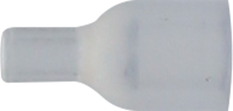 article image 2