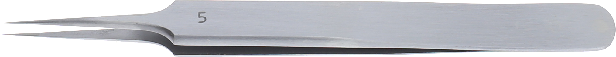 article image 2