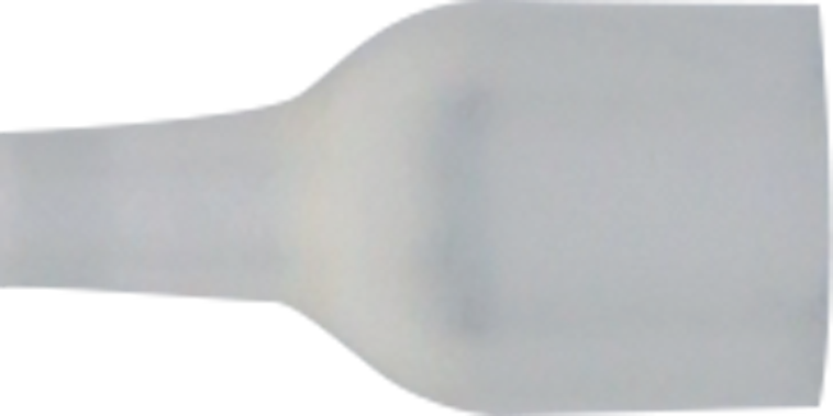 article image 2