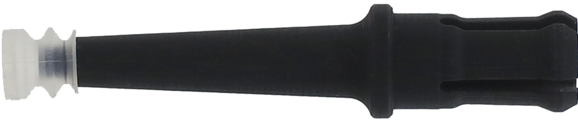 article image 2