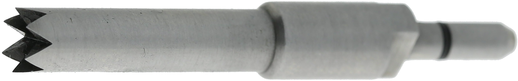 article image 2