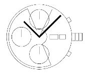 article image 2
